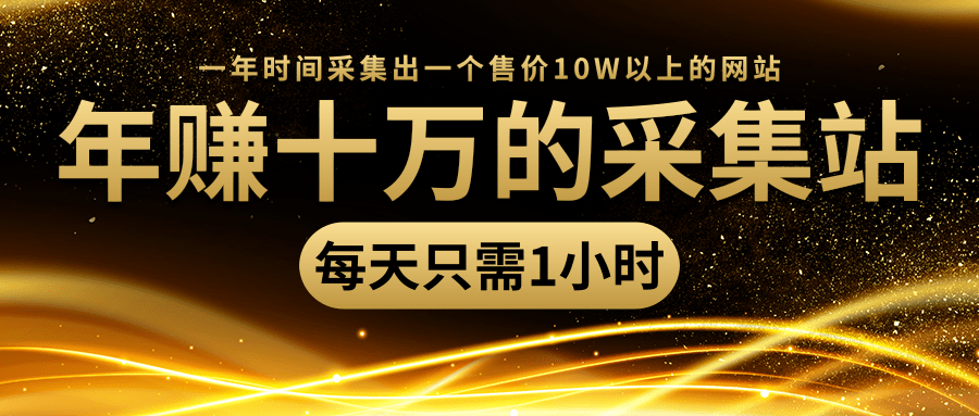 年赚十万的采集站，每天却只需要1小时，一年时间采集出一个售价10W以上的网站-甬战资源库