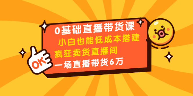 0基础直播带货课：小白也能低成本搭建疯狂卖货直播间：1场直播带货6万-甬战资源库