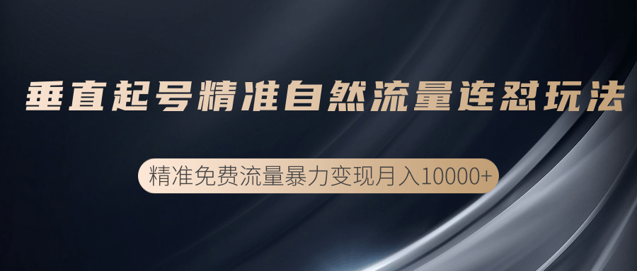 垂直起号精准自然流量连爆玩法，精准引流暴力变现月入10000+-甬战资源库