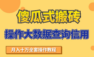 搬砖操作大数据查询信用项目赚钱教程，祝你快速月入6万-甬战资源库