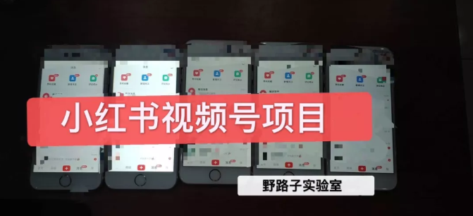 野路子小红书视频号1.0项目，直接上手操作就能赚钱的视频号项目-甬战资源库