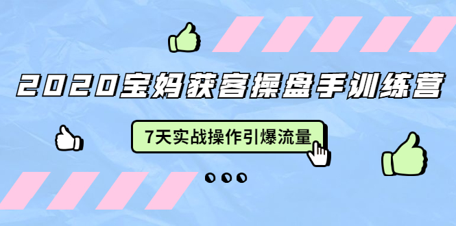 2020宝妈获客操盘手训练营：7天实战操作引爆 母婴、都市、购物宝妈流量-甬战资源库