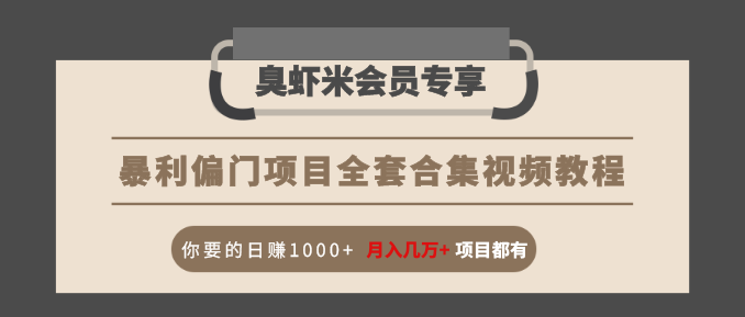 暴利偏门项目全套合集视频教程：你要的日赚1000+月入几万+项目都有-甬战资源库