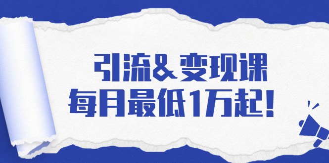 引流&变现课：分享一整套流量方法以及各个渠道收入，每月最低1万起！-甬战资源库
