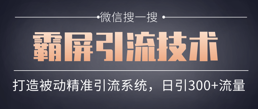 微信搜一搜霸屏引流技术，打造被动精准引流系统，轻松日引300+流量-甬战资源库