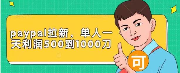 Paypal拉新赚美刀项目，单人一天利润500-1000刀【视频课程】-甬战资源库