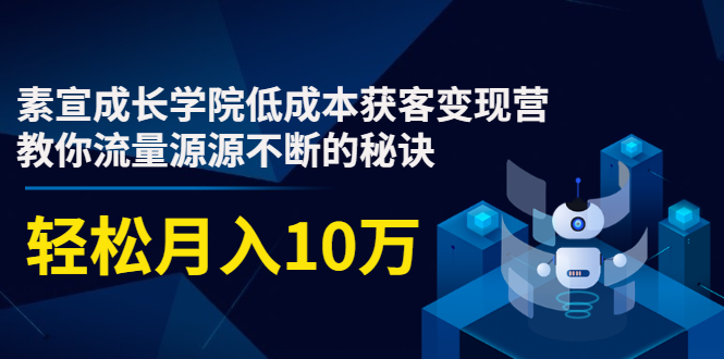 素宣成长学院低成本获客变现营，教你流量源源不断的秘诀，轻松月入10万-甬战资源库