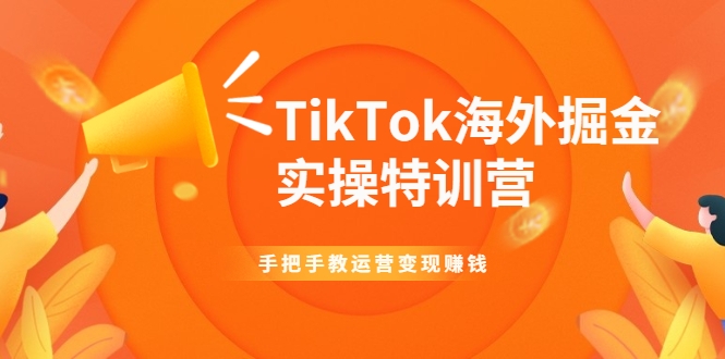 TikTok海外掘金实操特训营：手把手教运营变现赚钱-甬战资源库