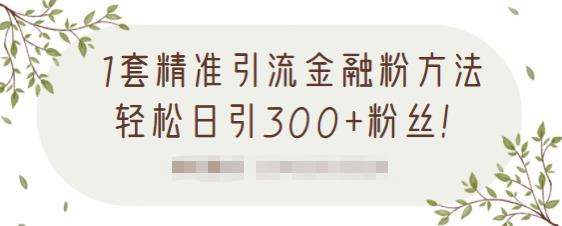 1套精准引流金融粉方法，轻松日引300+粉丝-甬战资源库