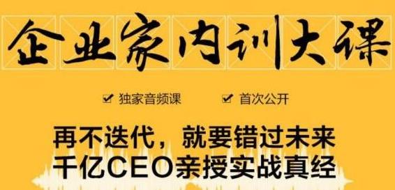 企业家内训大课，未来企业必学经验，价值1299元-甬战资源库