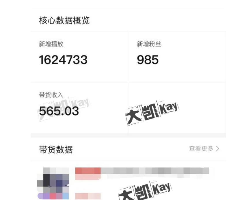 大凯进阶圈新玩法之拼多多视频玩法，利润大概一个号一天能有500~1500的左右!-甬战资源库