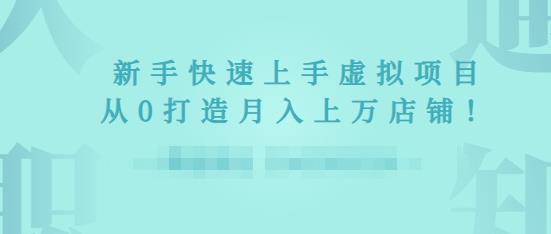 2022年虚拟项目实战指南，新手从0打造月入上万店铺-甬战资源库