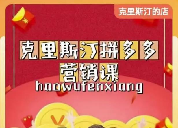 克里斯汀拼多多运营课，适合小白初涉平台，低成本入门-甬战资源库