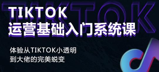 Tiktok实操进阶课程，体验从tiktok小透明到大佬的完美蜕变-甬战资源库