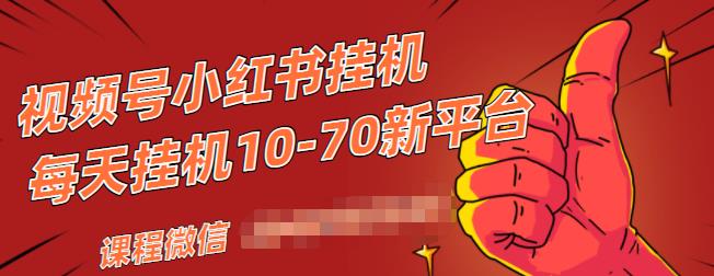 视频号小红书抖音挂机项目，小白无脑操作，按照要求来，单号每天几十米-甬战资源库