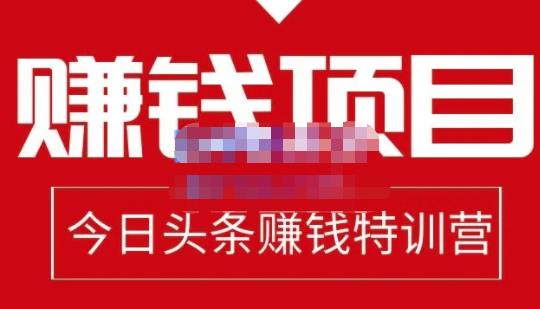 懒人领域·今日头条项目玩法，头条中视频项目，单号收益在50—500可批量-甬战资源库