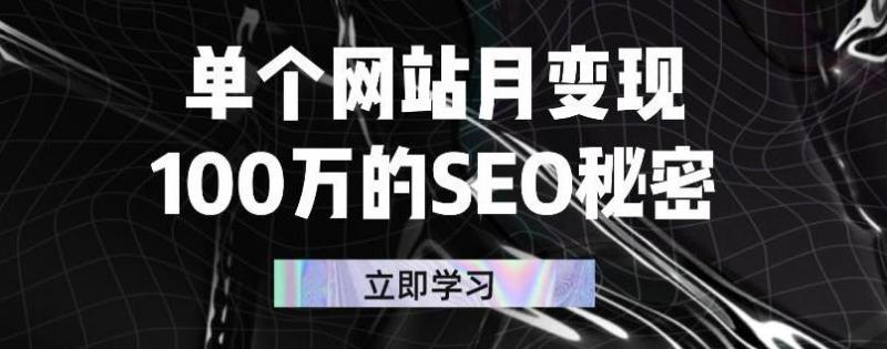 单个网站月变现100万的SEO秘密，百分百做出赚钱站点-甬战资源库