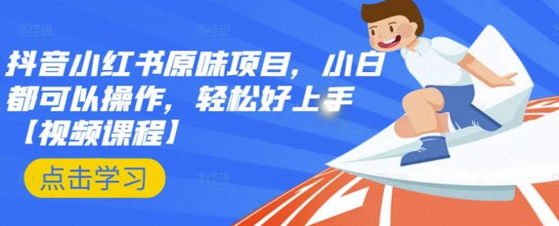 抖音小红书原味项目，小白都可以操作，轻松好上手【视频课程】-甬战资源库