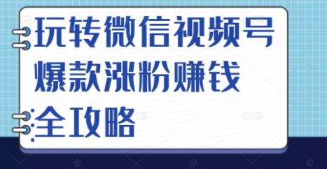 玩转微信视频号爆款涨粉赚钱全攻略，让你快速抓住流量风口，收获红利财富-甬战资源库