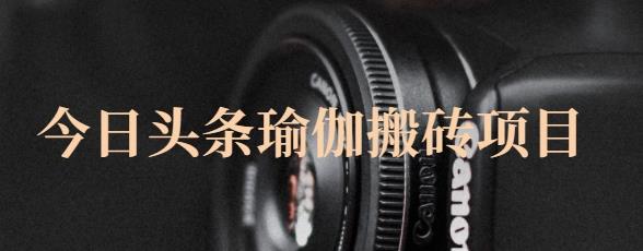 猎人社区·今日头条瑜伽搬砖项目，单号一天几十收入，可以批量操作！-甬战资源库