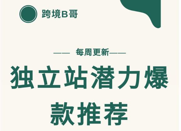 【跨境B哥】独立站潜力爆款选品推荐，测款出单率高达百分之80-甬战资源库