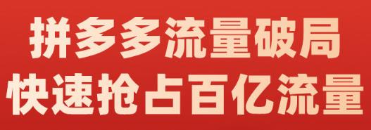 阿杰·拼多多流量破局:如何打黑标，爆款的思路，拼多多流量框架，快速抢占百亿流量-甬战资源库