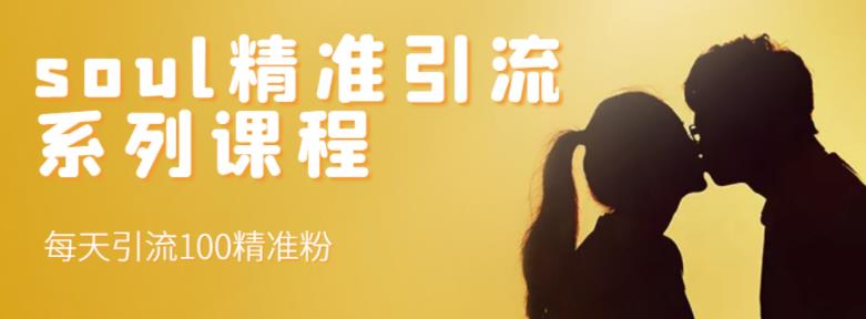 soul精准引流系列课程，每天引流100精准粉-甬战资源库