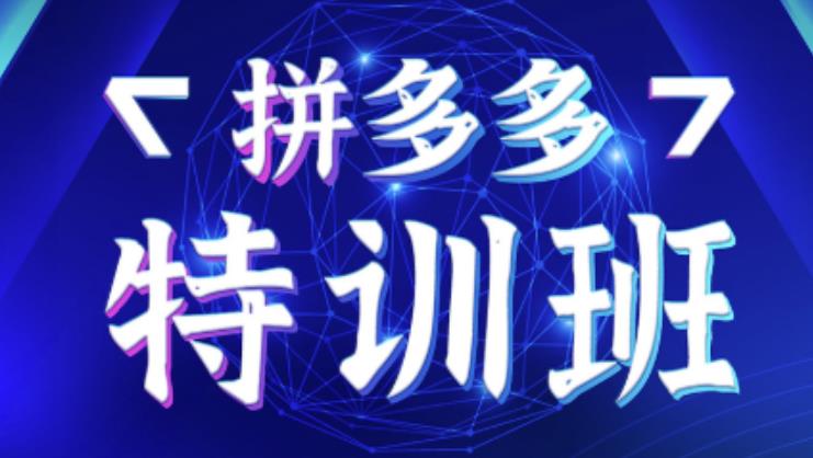 星雪教育·拼多多基础班+进阶班+突破班，用系统的学习模式快速改变现状价值3580元-甬战资源库