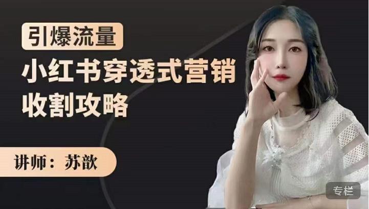苏歆：小红书穿透式营销收割攻略，引爆流量，助你玩转小红书-甬战资源库