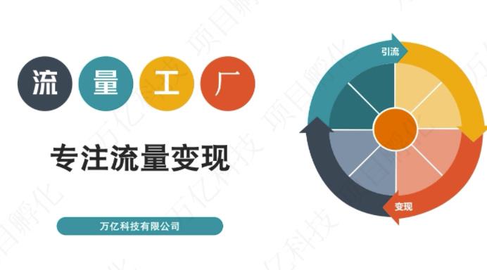 收费3980的流量工厂回粉项目，号称1个粉10元【详细玩法教程解析】-甬战资源库