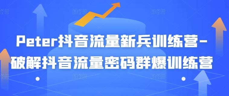 Peter抖音流量新兵训练营-破解抖音流量密码群爆训练营（新兵）-甬战资源库