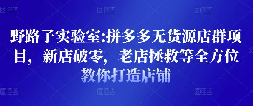 野路子实验室:拼多多无货源店群项目，新店破零，老店拯救等全方位教你打造店铺-甬战资源库