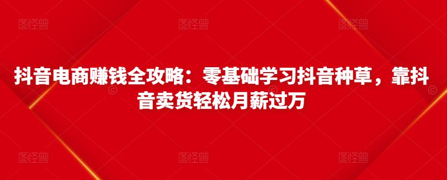 抖音电商赚钱全攻略：零基础学习抖音种草，靠抖音卖货轻松月薪过万-甬战资源库