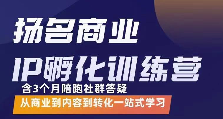 杨名商业IP孵化训练营，从商业到内容到转化一站式学 价值5980元-甬战资源库