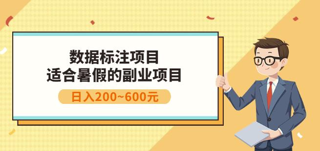 副业赚钱：人工智能数据标注项目，简单易上手，小白也能日入200+-甬战资源库