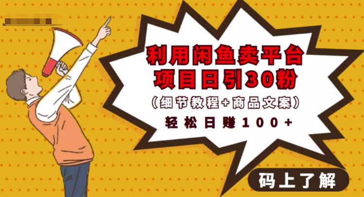 利用闲鱼卖平台项目课程资源日引流30+精准粉丝，轻松日赚100+，积累人脉可实现二次变-甬战资源库
