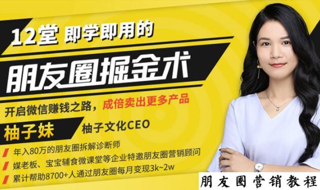 【营销必学】12堂学之即用的朋友圈掘金术：开启你的副业赚钱之路-甬战资源库