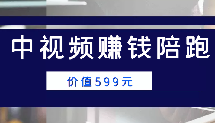 中视频赚钱陪跑，卖中视频账户赚钱收益陪跑项目（价值599元）-甬战资源库