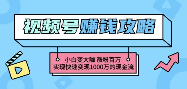玩转微信视频号赚钱：小白变大咖涨粉百万实现快速变现1000万的现金流-甬战资源库