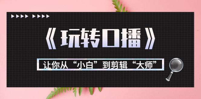 月营业额700万+大佬教您《玩转口播》让你从“小白”到剪辑“大师”-甬战资源库