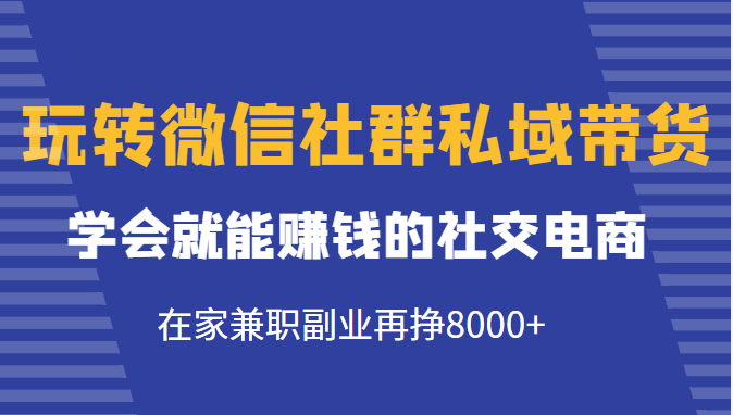 玩转微信社群私域带货，学会就能赚钱的社交电商，在家兼职副业再挣8000+-甬战资源库
