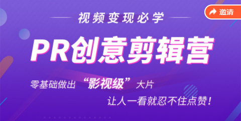 抖音赚钱必学的PR创意剪辑：零基础做出“影视级”大片，让人一看就忍不住为你点赞！-甬战资源库