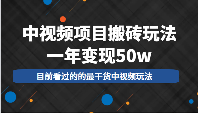 中视频项目搬砖玩法，一年变现50w，目前看过的的最干货中视频玩法-甬战资源库