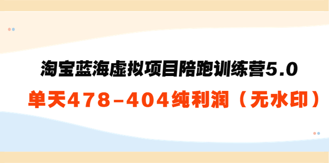 淘宝蓝海虚拟项目陪跑训练营5.0：单天478纯利润-甬战资源库