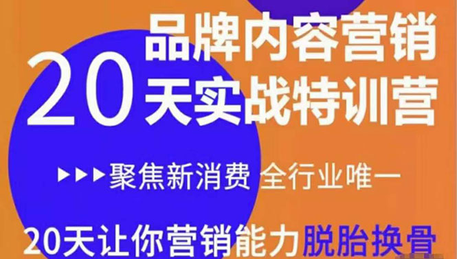 《内容营销实操特训营》20天让你营销能力脱胎换骨（价值3999）-甬战资源库