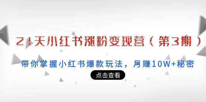 21天小红书涨粉变现营（第3期）：带你掌握小红书爆款玩法，月赚10W+秘密-甬战资源库