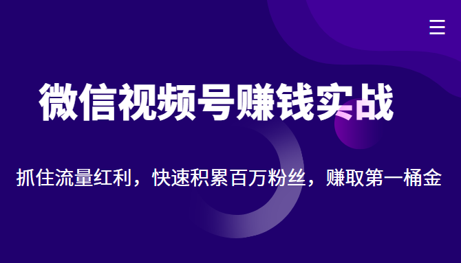 微信视频号赚钱实战：抓住流量红利，快速积累百万粉丝，赚取你的第一桶金-甬战资源库