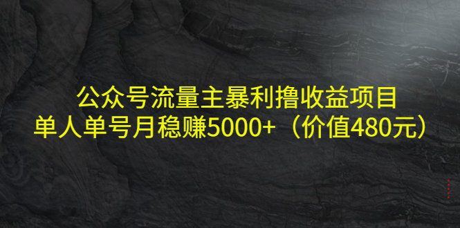 公众号流量主暴利撸收益项目，单人单号月稳赚5000+（价值480元）-甬战资源库