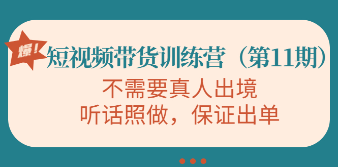 视频带货训练营，不需要真人出境，听话照做，保证出单（第11期）-甬战资源库