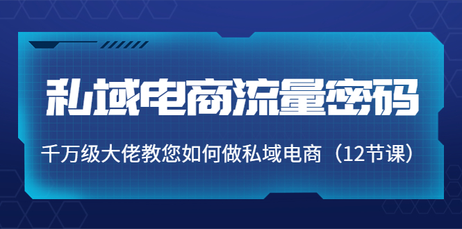 私域电商流量密码：千万级大佬教您如何做私域电商（12节课）-甬战资源库